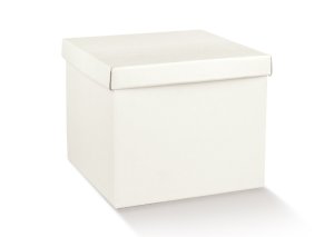 FONDO E COPERCHIO 250X250X60 FIBRA BIANCO